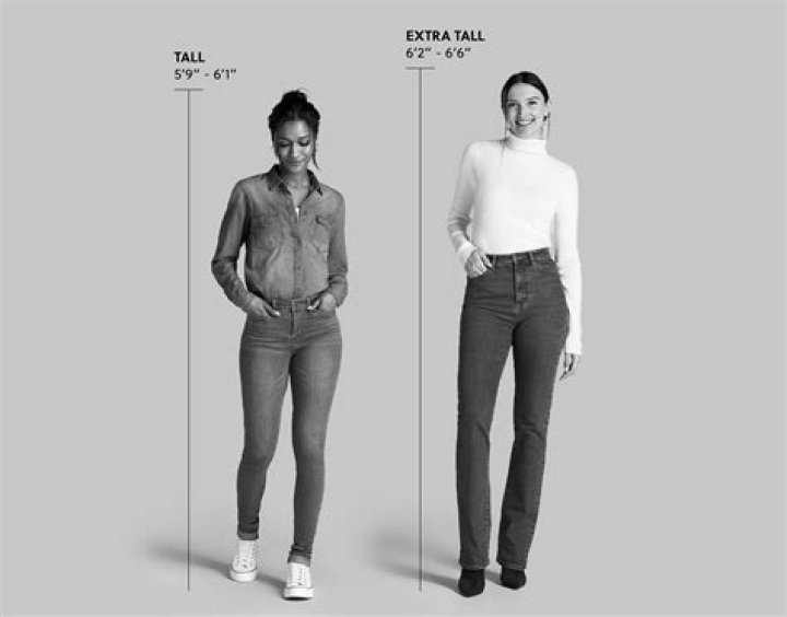 How tall is Seal ·